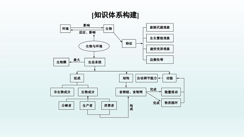 中考生物总复习课件：专题二　生物与环境02