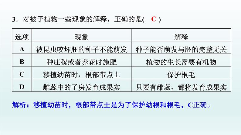 中考生物总复习课件：专题三　生物圈中的绿色植物07