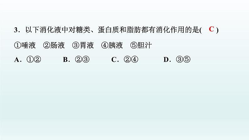 中考生物总复习课件：专题四　生物圈中的人07