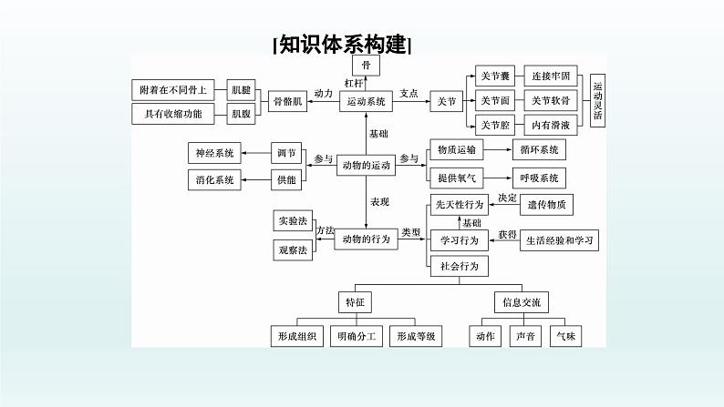 中考生物总复习课件：专题五　动物的运动和行为02