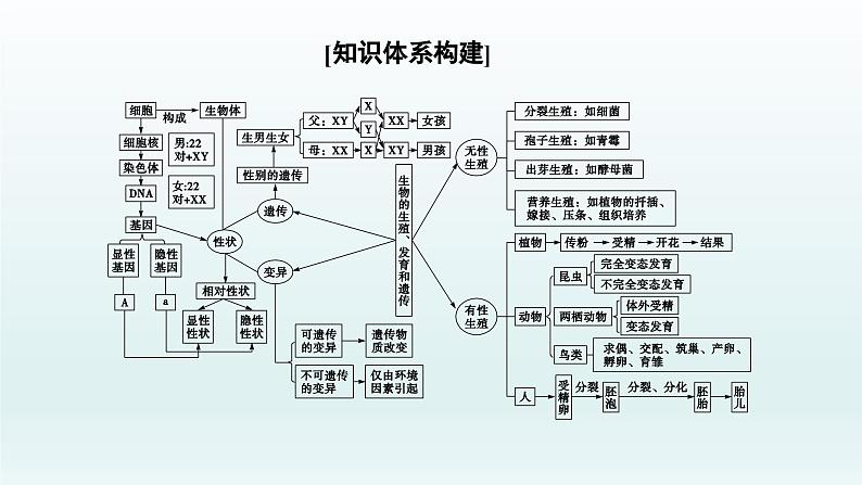 中考生物总复习课件：专题六　生物的生殖、发育和遗传第2页