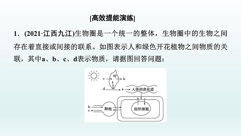 中考生物总复习课件：专题一0二　综合解答第3页