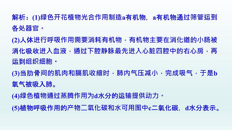 中考生物总复习课件：专题一0二　综合解答第5页