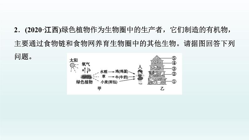 中考生物总复习课件：专题一0二　综合解答第6页