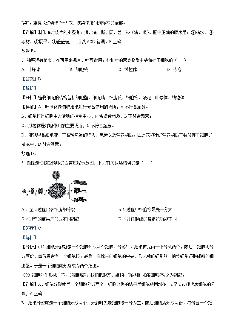2024年广东省河源市中考二模生物试题（原卷版+解析版）02