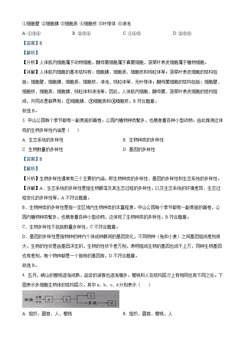 2024年山东省青岛市市北区中考二模生物试题（解析版）第2页