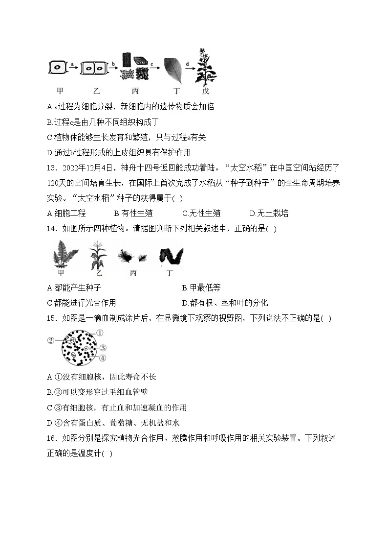 吉林省长春市德惠市2023-2024学年八年级下学期期中考试生物试卷(含答案)03