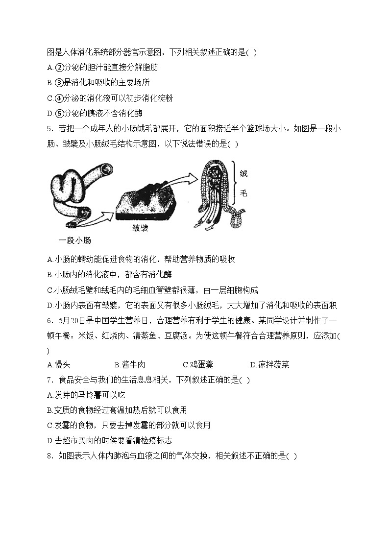山东省济宁市金乡县2023-2024学年七年级下学期4月期中考试生物试卷(含答案)第2页