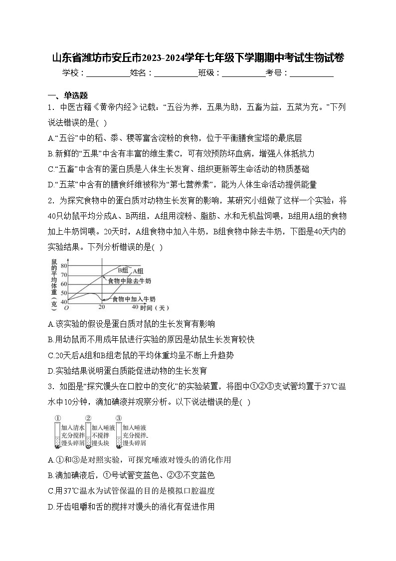山东省潍坊市安丘市2023-2024学年七年级下学期期中考试生物试卷(含答案)第1页
