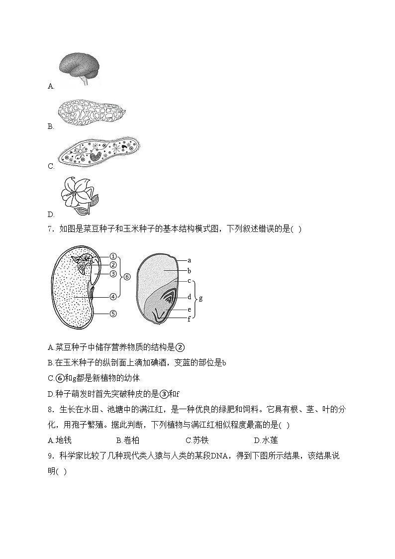 山东省淄博市桓台县（五四制）2024届九年级下学期中考一模生物试卷(含答案)02