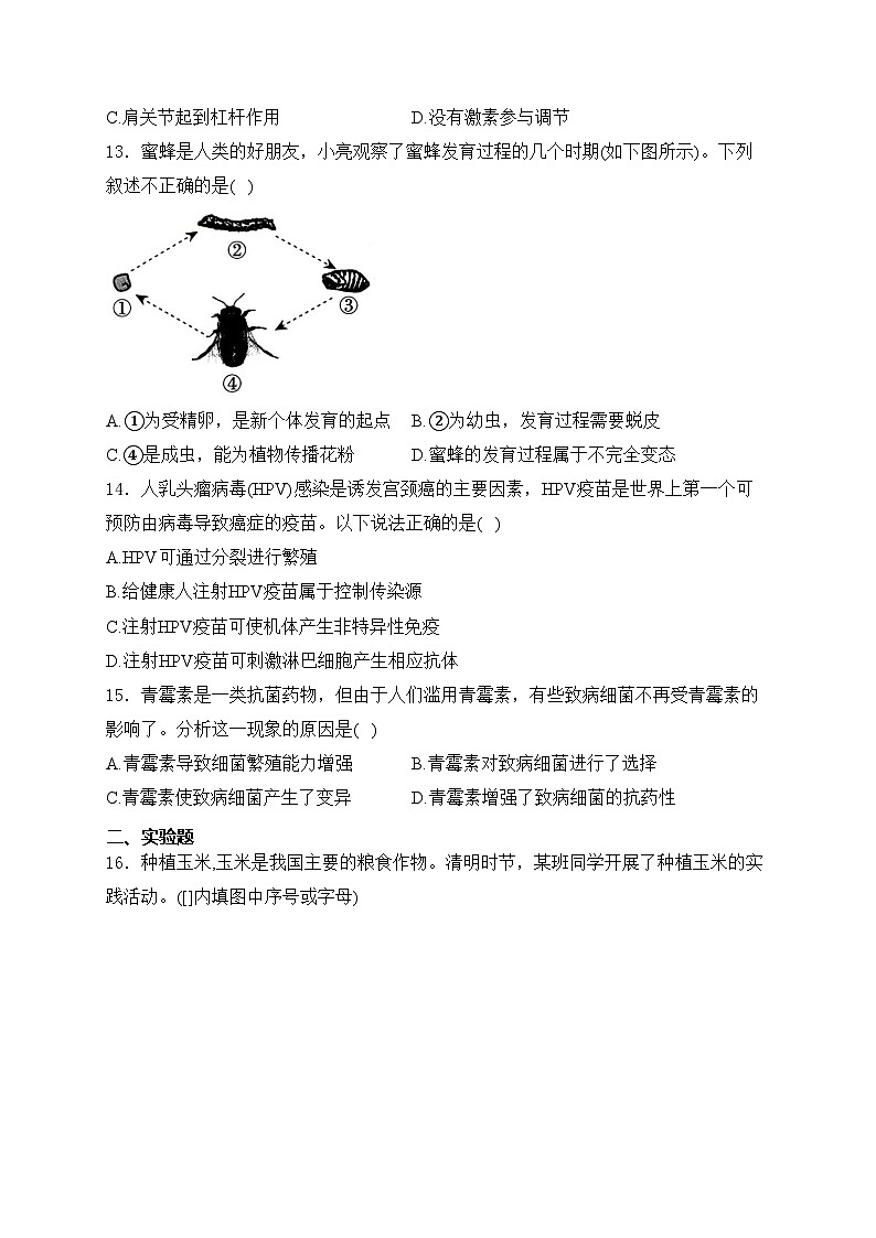 山西省2024届九年级下学期中考二模生物试卷(含答案)03