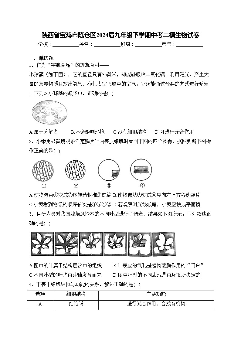 陕西省宝鸡市陈仓区2024届九年级下学期中考二模生物试卷(含答案)01