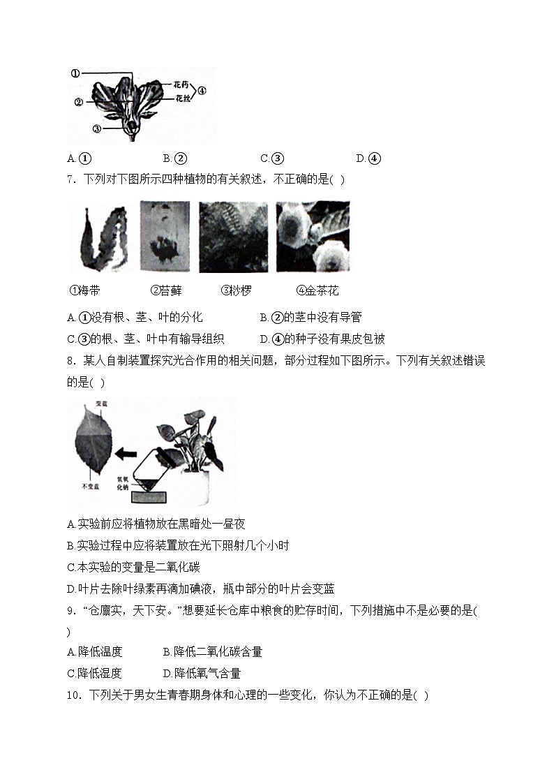 云南省昭通市巧家县2024届九年级下学期中考二模生物试卷(含答案)第2页