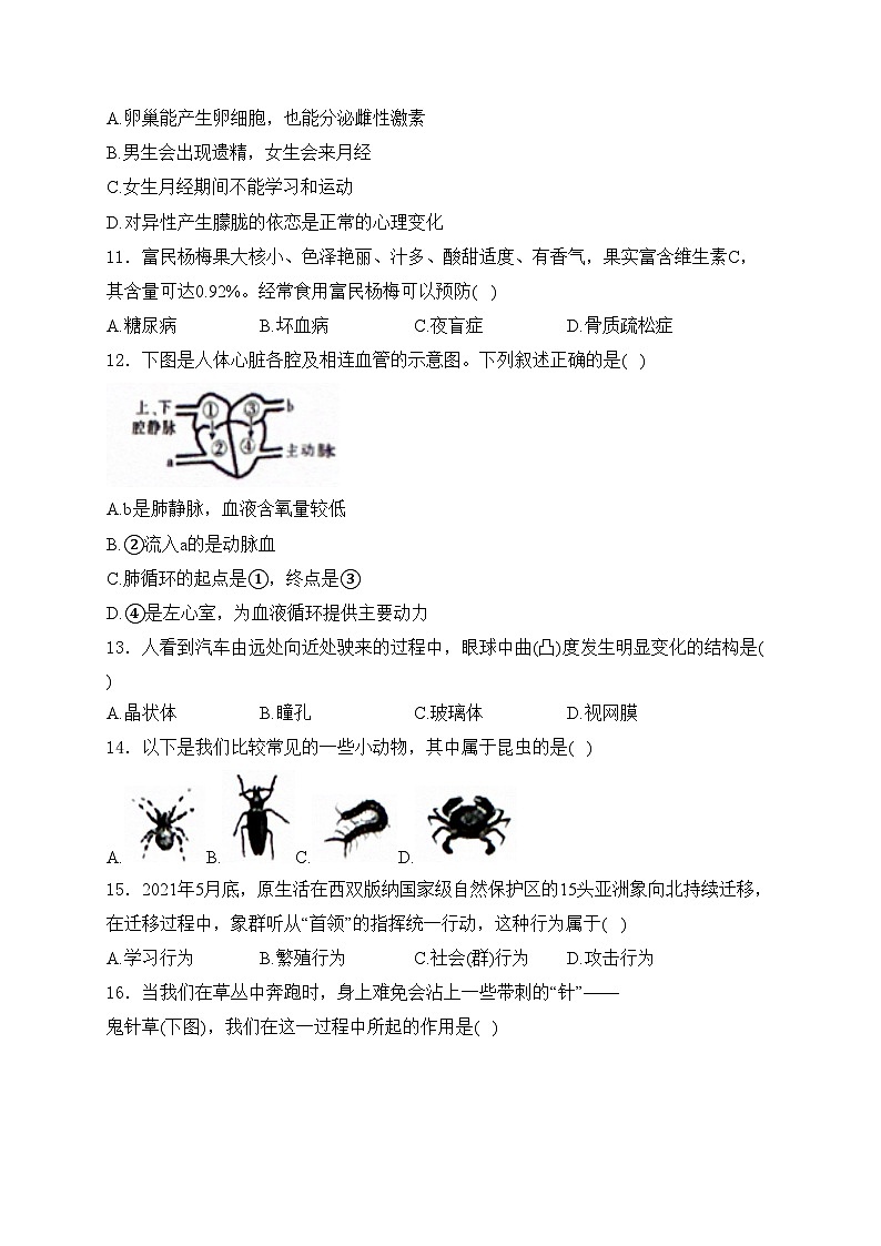 云南省昭通市巧家县2024届九年级下学期中考二模生物试卷(含答案)第3页