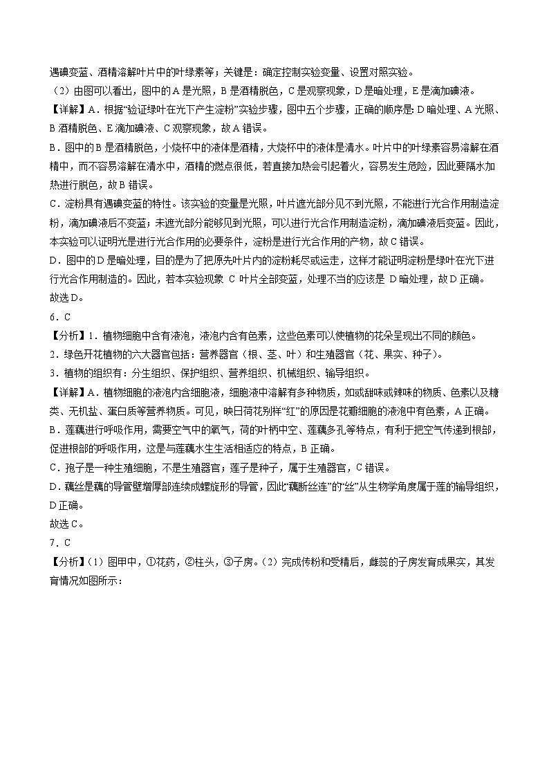 2024年中考第三次模拟考试题：生物（广东省卷）（解析版）第3页