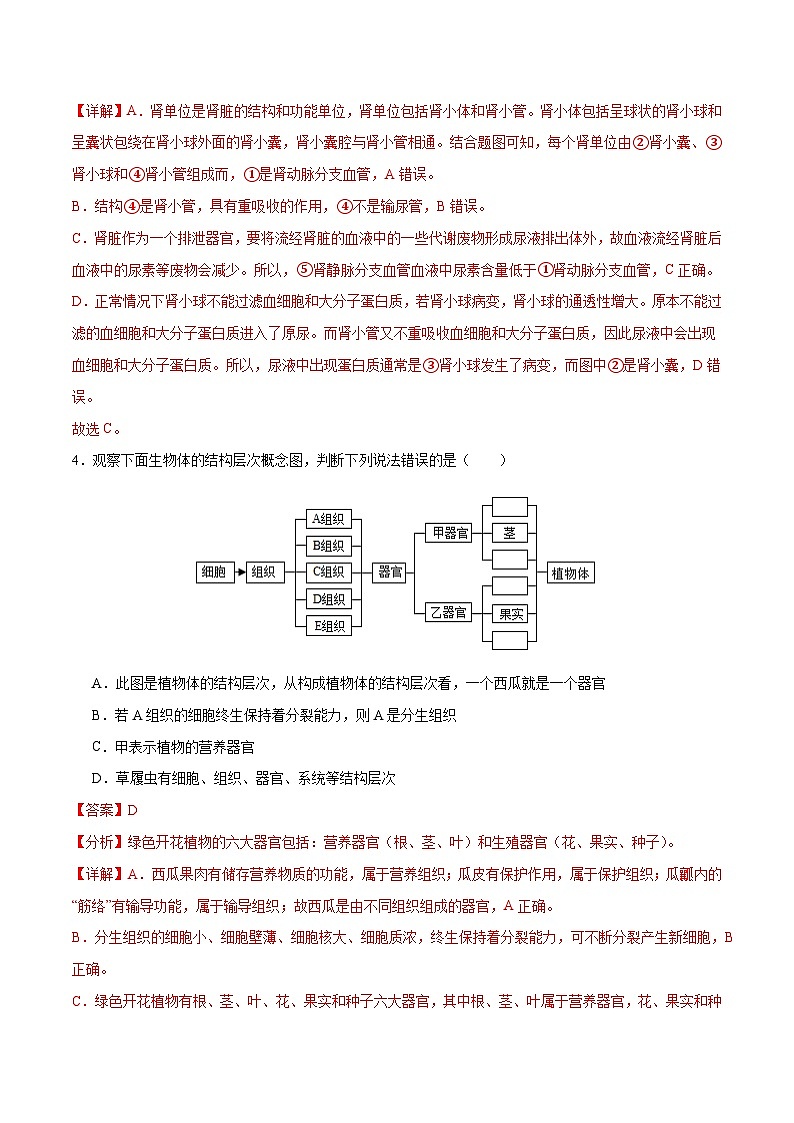 2024年中考第三次模拟考试题：生物（广西卷）（解析版）第3页