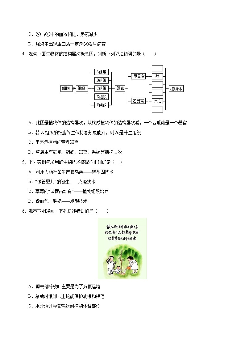 2024年中考第三次模拟考试题：生物（广西卷）（考试版）第2页