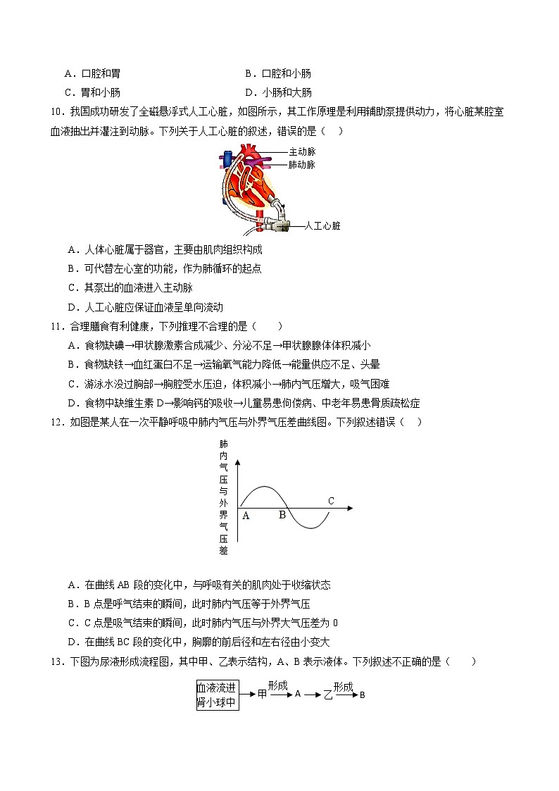 2024年中考第三次模拟考试题：生物（广州卷）（考试版）03