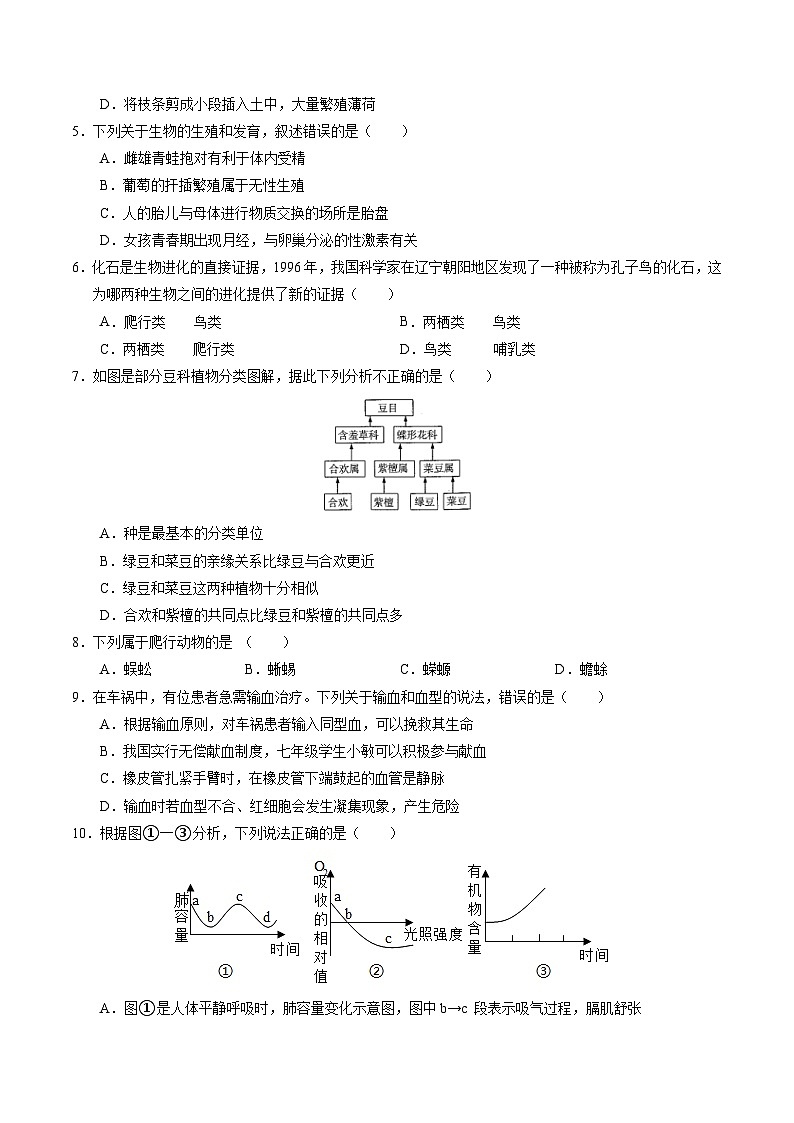 2024年中考第三次模拟考试题：生物（辽宁卷）（考试版）02