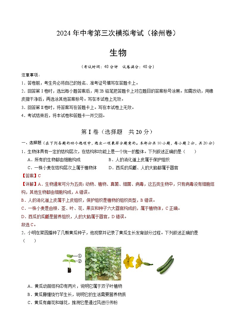 2024年中考第三次模拟考试题：生物（徐州卷）（解析版）01