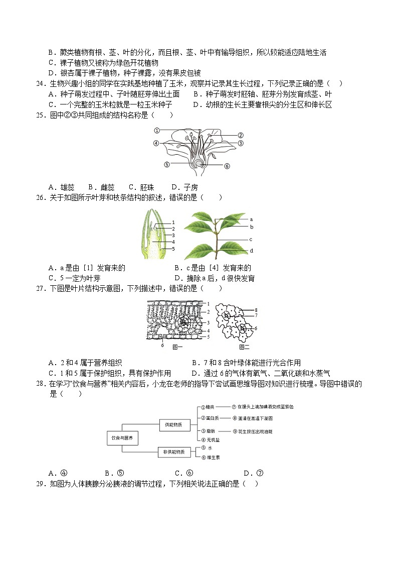 2024年中考第三次模拟考试题：生物（无锡卷）（考试版）03