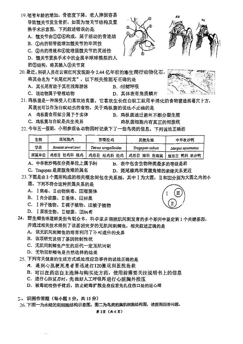 2024年湖南省长沙市雅礼教育集团中考一模考试生物试题第3页
