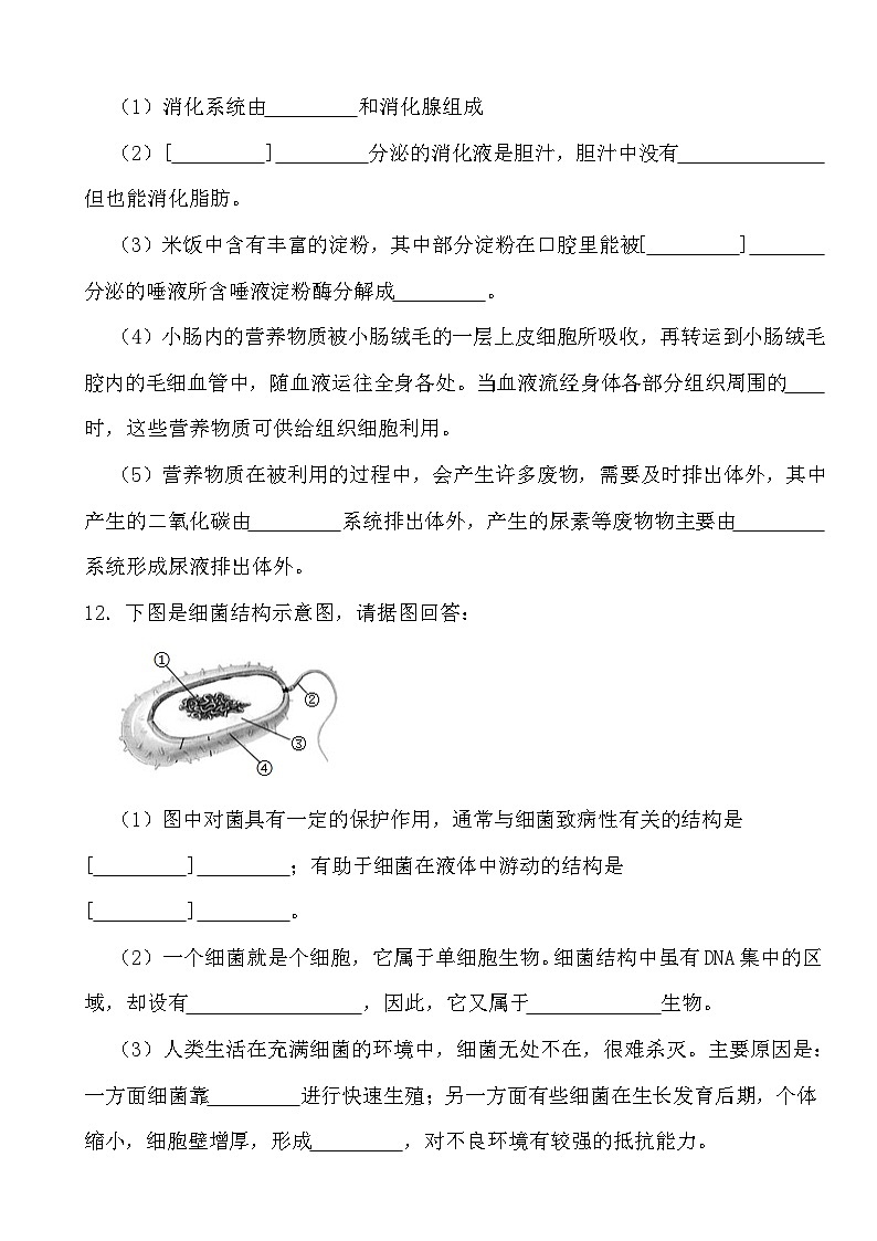 2024年四川省南充市初中学业水平考试生物学模拟卷第3页