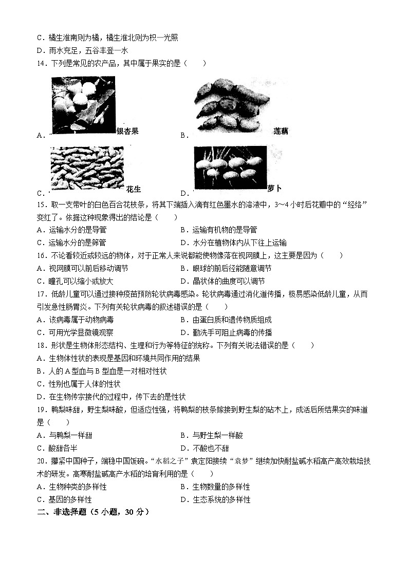河南省南阳市镇平县2023-2024学年八年级下学期5月月考生物试题第3页