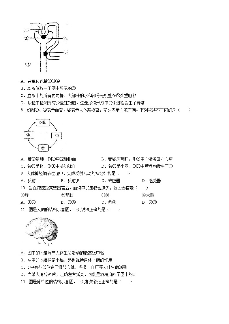 河南省南阳市镇平县2023-2024学年七年级下学期5月月考生物试题02