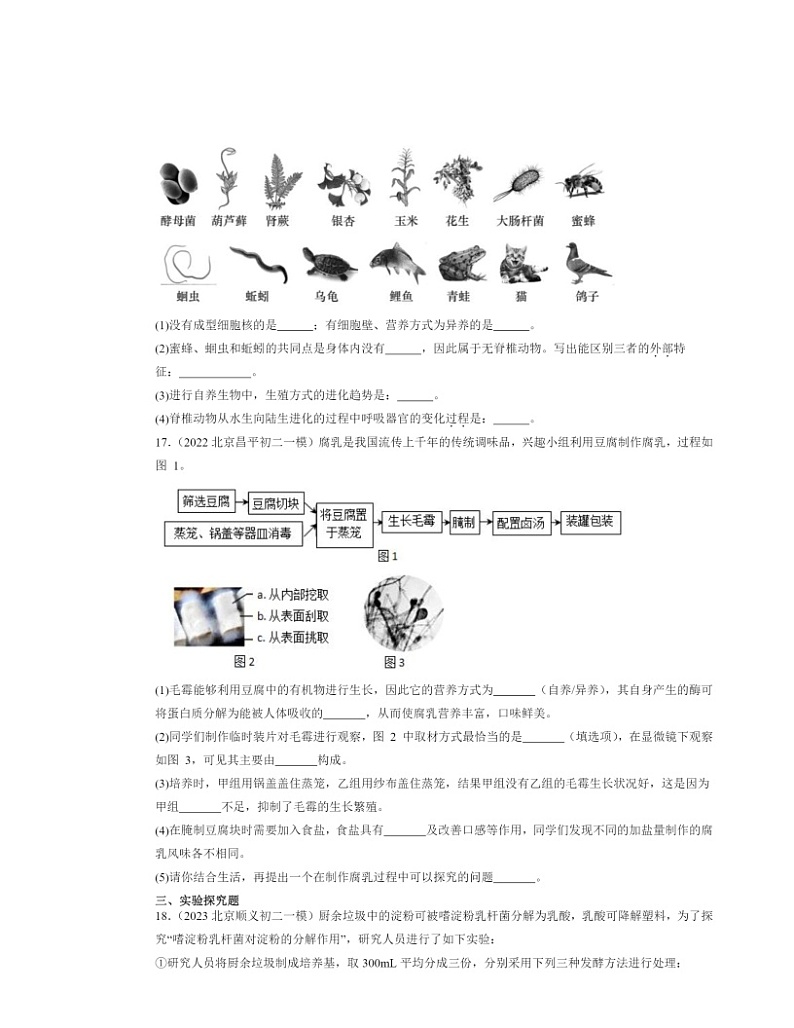2022～2024北京初二一模生物试题分类汇编：细菌和真菌章节综合03