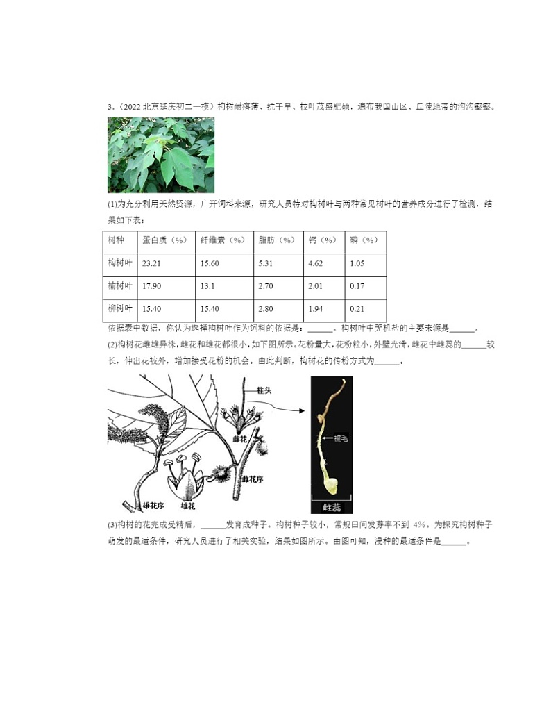 2022～2024北京初二一模生物试题分类汇编：植物的生殖02