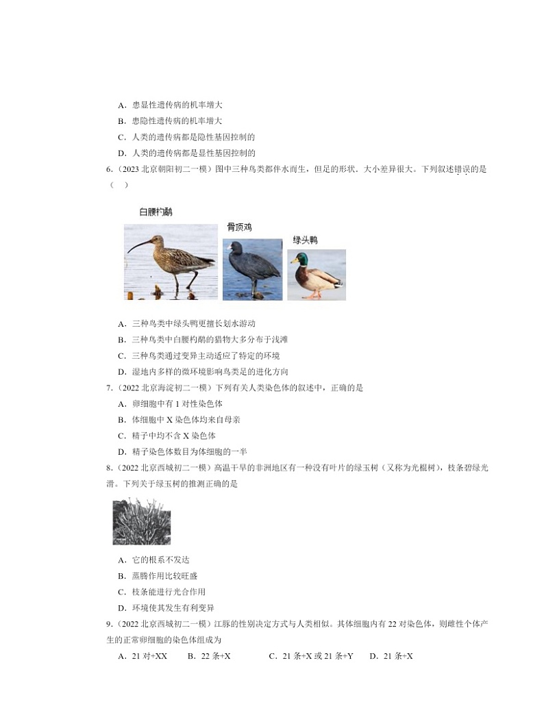 2022～2024北京初二一模生物试题分类汇编：生物的遗传和变异章节综合02