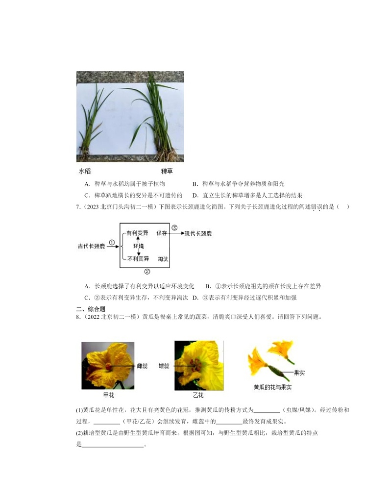 2022～2024北京初二一模生物试题分类汇编：生物进化的原因第2页