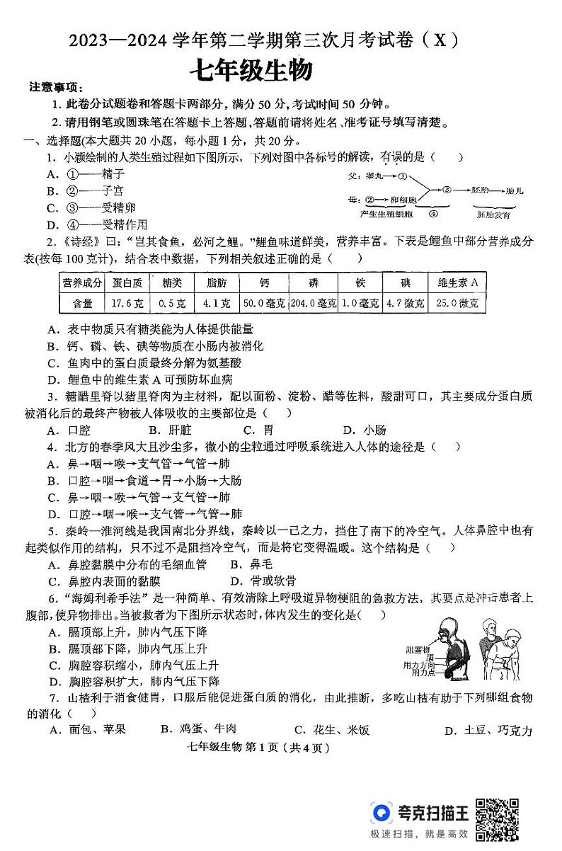 河南省淮阳中学2023-2024学年七年级下学期5月月考生物试题第1页