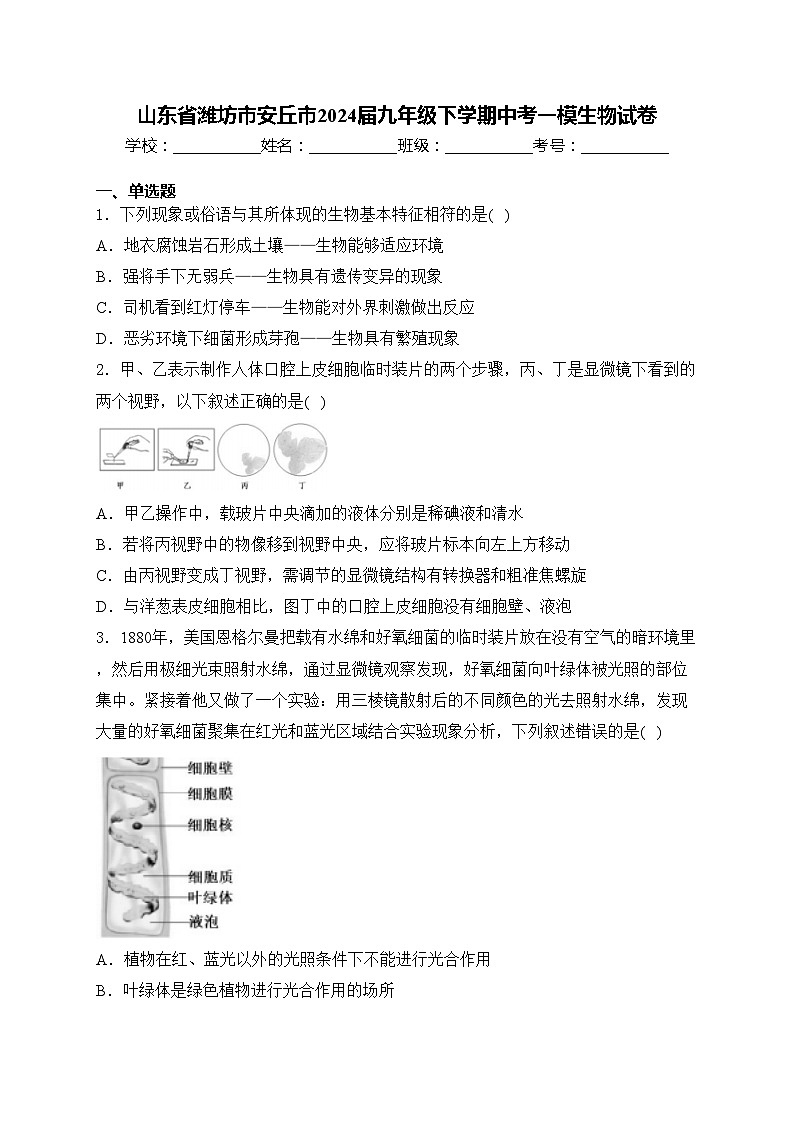 山东省潍坊市安丘市2024届九年级下学期中考一模生物试卷(含答案)01