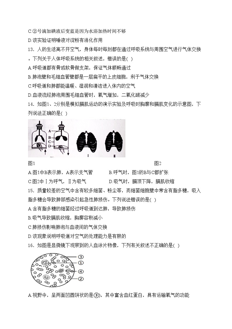 山东省枣庄市薛城区2023-2024学年七年级下学期期中考试生物试卷(含答案)第3页
