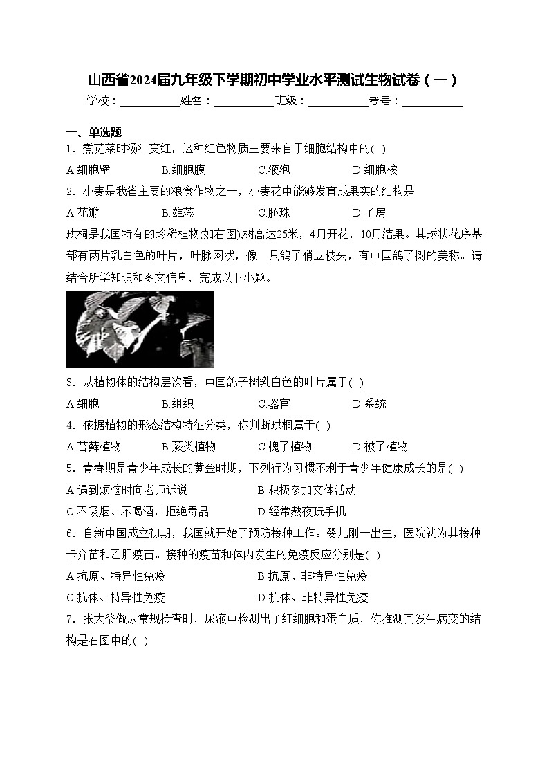 山西省2024届九年级下学期初中学业水平测试生物试卷（一）(含答案)01