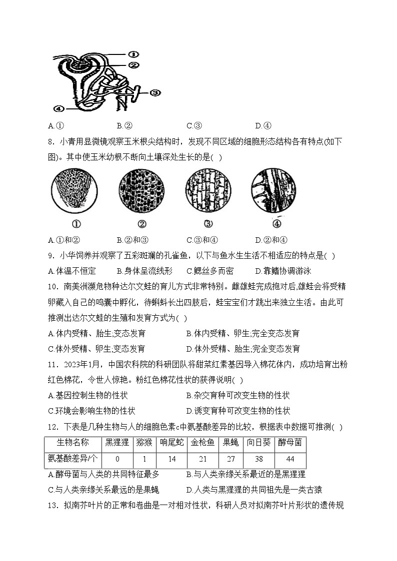 山西省2024届九年级下学期初中学业水平测试生物试卷（一）(含答案)02