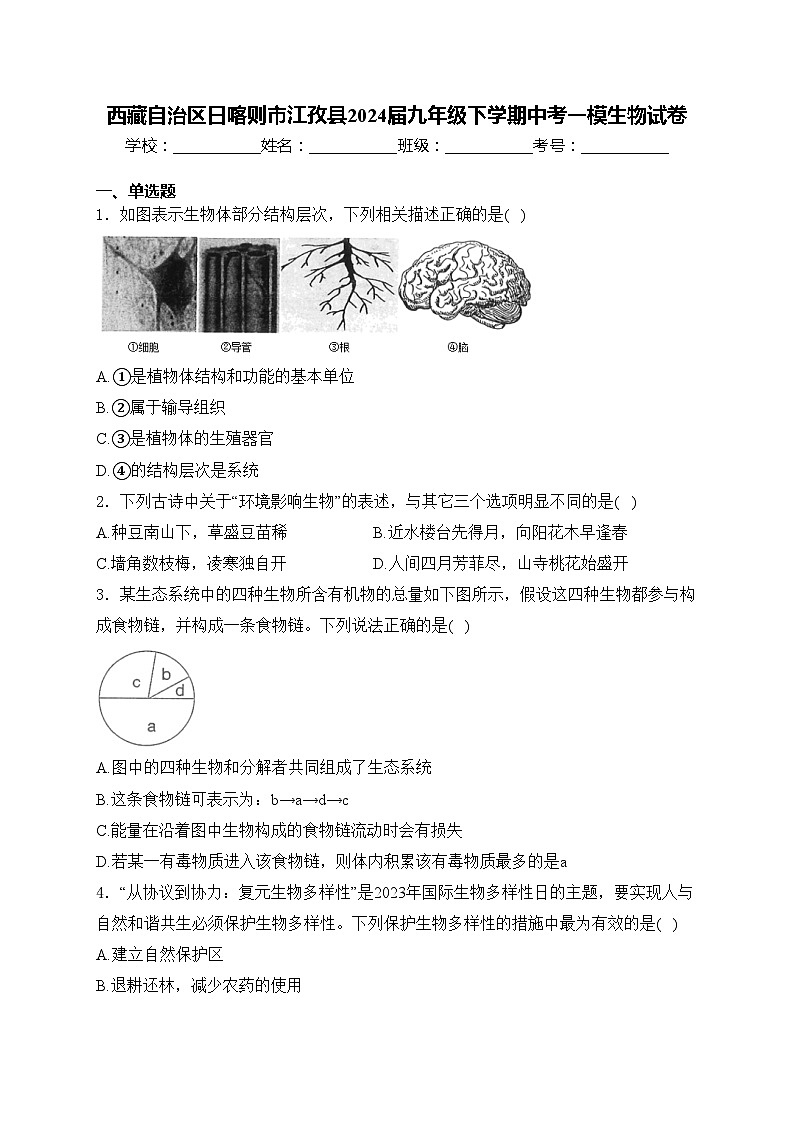 西藏自治区日喀则市江孜县2024届九年级下学期中考一模生物试卷(含答案)01