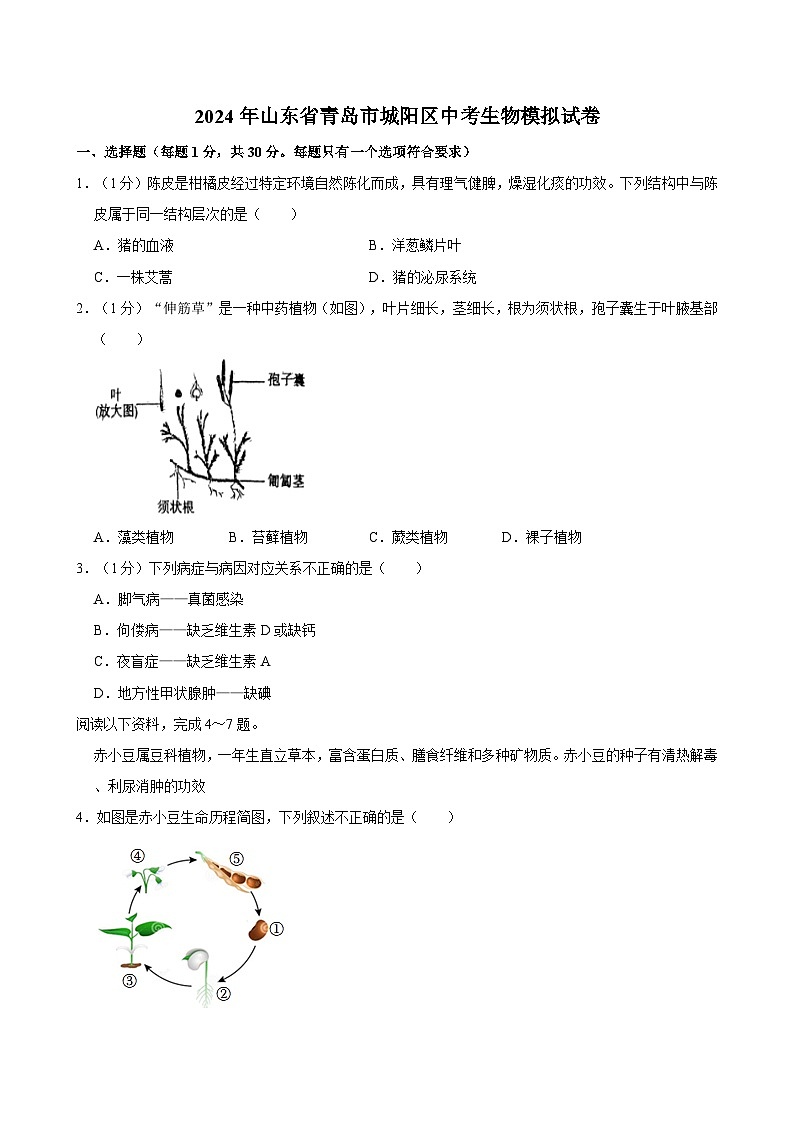 2024年山东省青岛市城阳区中考生物模拟试卷第1页