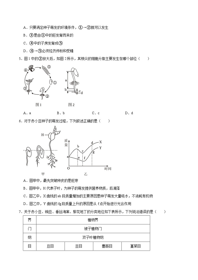 2024年山东省青岛市城阳区中考生物模拟试卷第2页