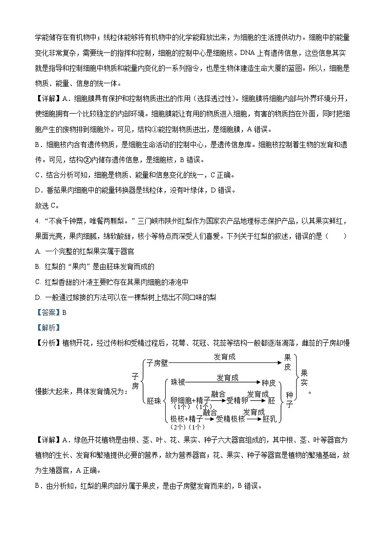 2024年河南省三门峡市中考二模生物试题（解析版）第3页