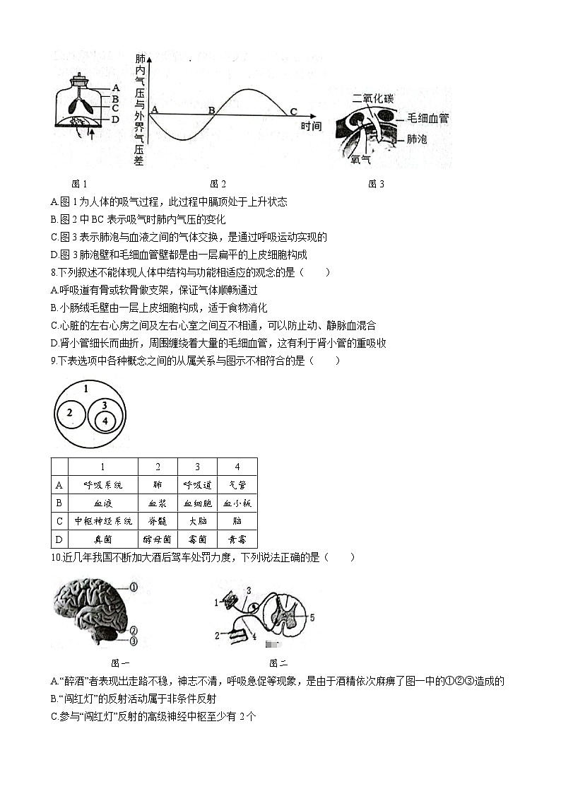2024年山东省菏泽市东明县初中学业水平生物模拟试题03