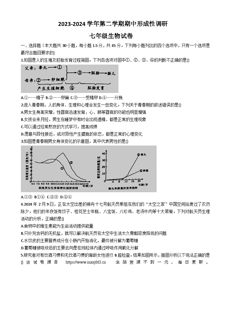 河南省洛阳市洛龙区2023-2024学年七年级下学期期中考试生物试卷(无答案)第1页