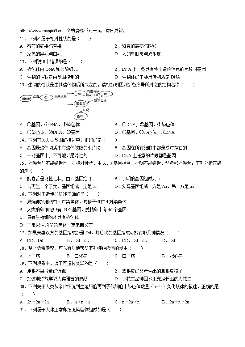 天津市红桥区河北工业大学附属红桥中学2023-2024学年八年级下学期期中生物试题(无答案)第2页