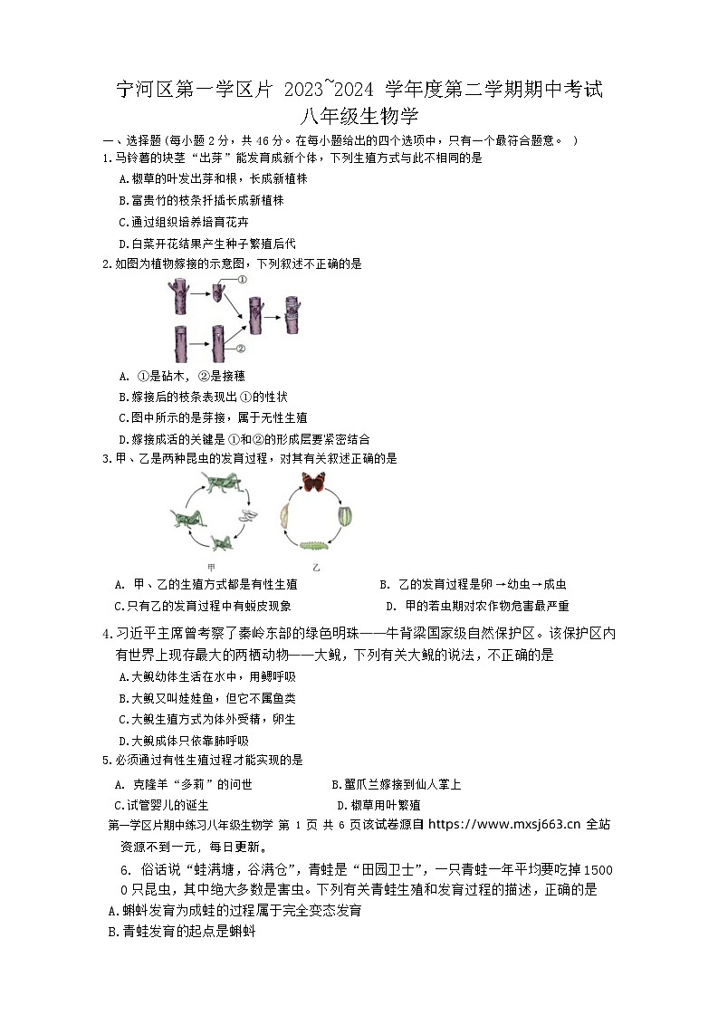 天津市宁河区第一学片2023~2024学年八年级下学期期中考试生物试卷01