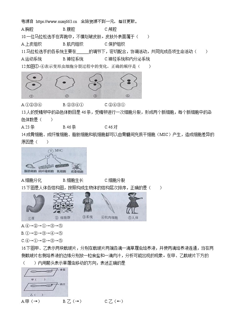 01，江苏省淮安市淮安区2023-2024学年七年级下学期期中学业监测生物试卷(无答案)第2页