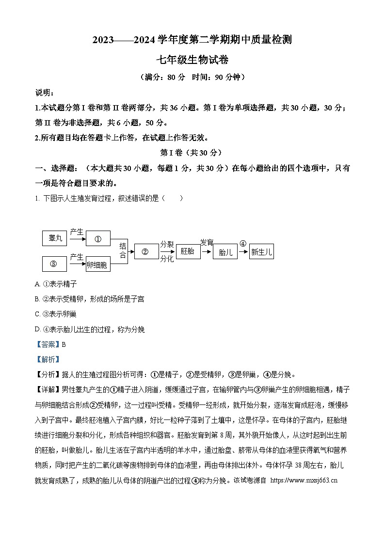 02，山东省青岛市实验初级中学2023-2024学年七年级下学期期中生物试题01