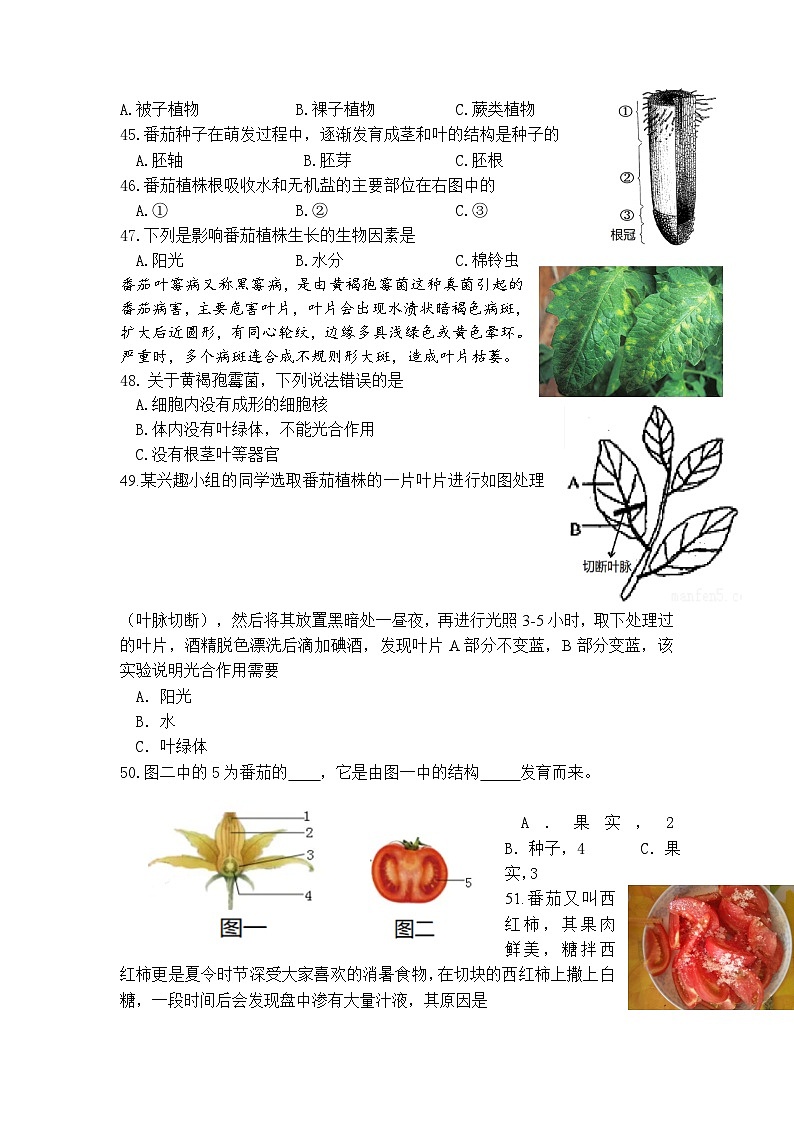 04，2024年江苏省淮安市开明教育集团中考生物模拟试卷02