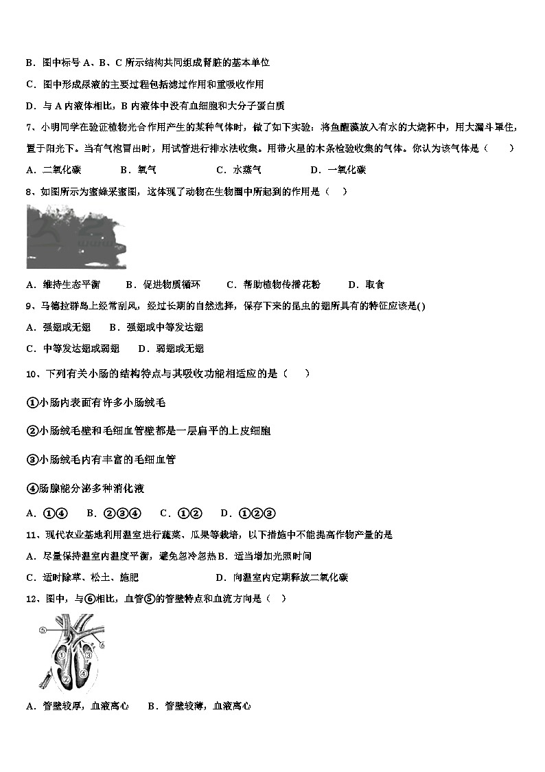 05，2024年湖北省麻城市初中学业水平考试生物学模拟预测冲刺试卷第2页